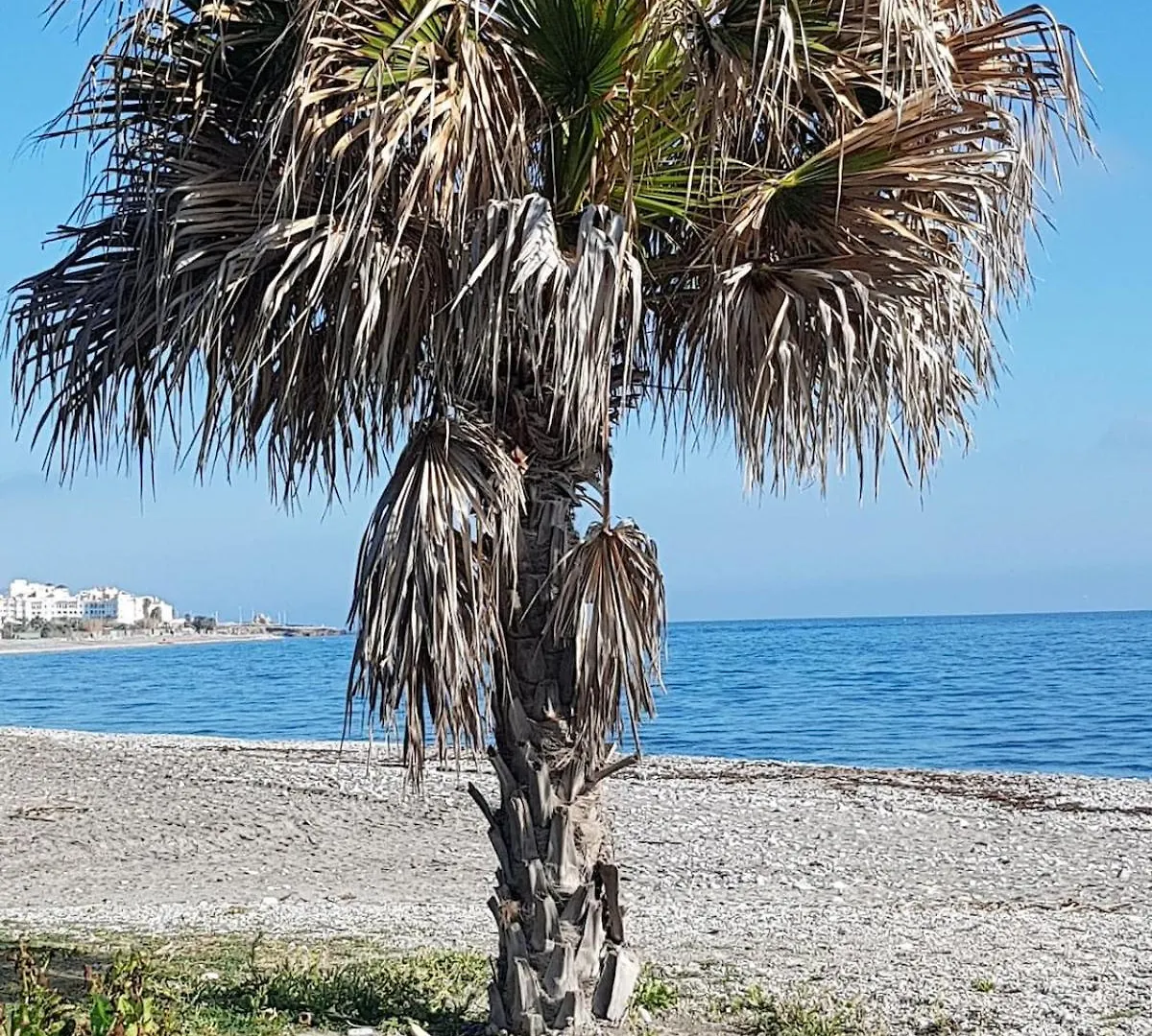 Casa Mar Haus Mit Meerblick Und Sonnenterrasse Nerja